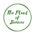 The Plant of Borneo icon
