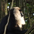 NCBS MSc Wildlife (2024-26): Valparai Trip icon