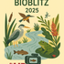 Home river bioblitz Aare 2025 icon