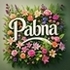 Flora of Pabna,Bangladesh icon