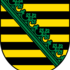 MINT-Kongress 2025: Team Sachsen icon