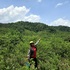 Sierra Leone Botanist Initiative (SLBI) icon