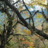 From Valley to Meadow: The Er’guxi Ecological Transect Project icon