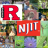 2018 - Rutgers-Newark/NJIT 7th Annual BioBlitz icon