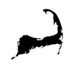 Boston Mycological Club Cape Cod Foray 2025 icon