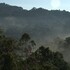 Parque Natural Municipal Augusto Ruschi_PNMAR icon