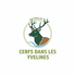 Cerfs dans les Yvelines icon