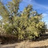 Diamond Hill Acres, Hidden Valley, AZ icon