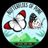Butterflies Of Pune icon