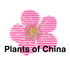 Plants of China icon