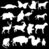 NEMBA Category 2 (Animals)(South Africa) icon
