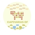 Capivaras DF icon