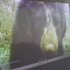 Monitoreo comunitario vereda Amoladero, Guatavita icon