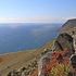 Baikal Siberia biodiversity icon