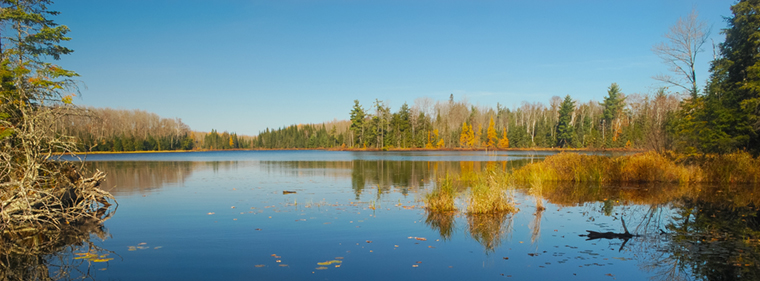 Border Lakes · iNaturalist NZ