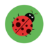 Bugs In My Backyard Yard Week 2025 - results icon