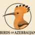Birds of Azerbaijan icon