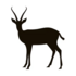Mammals of Azerbaijan icon
