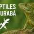 Reptiles de Urabá icon