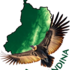 Proyecto RUTA ANDINA icon