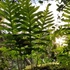 Biodiversidade em Ansião icon