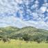 Harties Nature Project icon