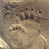 Kamchatka in observations by Oleg Kosterin icon