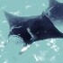 World Oceans Week - 2026 icon