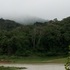 Biodiversidade dos Brejos de Altitude / Caatinga moist-forest enclaves biodiversity icon