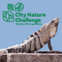 City Nature Challenge 2026: Mérida Metropolitana. icon