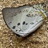 Butterflies of Peninsular Malaysia (RG) icon