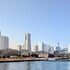 City Nature Challenge 2026: Yokohama Japan icon