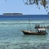 Scuba Diving - Indian Ocean icon
