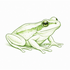 Herpeto fauna of Shanghai 上海的两栖和爬行动物 icon