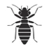 Insecta (Insects) of the UK and Ireland (UK+) icon