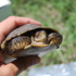 SJER BioBlitz March 2026 icon