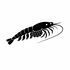 Mysida (Opossum Shrimps) of Britain and Ireland (UK+) icon