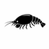 Cumacea (Hooded Shrimps) of Britain and Ireland (UK+) icon