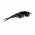 Anostraca (Fairy Shrimps) of Britain and Ireland (UK+) icon