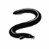 Myxini (Hag Fishes) of Britain and Ireland (UK+) icon