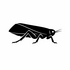 Homoptera (Hoppers &amp; Allies) of Britain and Ireland (UK+) icon
