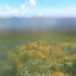 BIOL 3409- Coral Reef Field Course 2026 icon