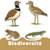 Observatoire de la biodiversité du littoral héraultais icon