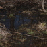 Flora of Jackson County icon