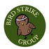 NJIT Bird Strike Surveys icon