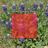 Native Plants of Parker County TX icon