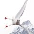 NaturPerlenExpedition 2026 icon