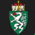 Berg- und Naturwacht Bezirk Leibnitz icon
