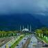 Flora of Islamabad icon