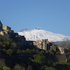 SICILY - wild flora icon
